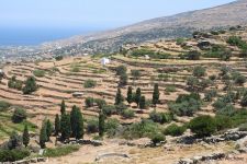 Terraces, Andros, © NCC Archive