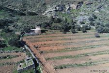 Καλλιεργημένες στο πλαίσιο του έργου αναβαθμίδες, © Αρχείο NCC