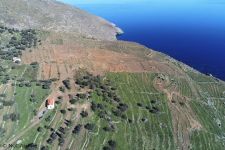 Καλλιεργημένες στο πλαίσιο του έργου αναβαθμίδες, © Αρχείο NCC