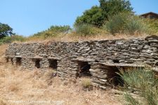 Μελισσοθυρίδες, Άνδρος, © Θ.Πετανίδου/Πανεπιστήμιο Αιγαίου